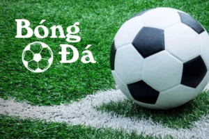 Bóng Trong Cuộc Và Bóng Ngoài Cuộc Hiểu Quy Tắc Biên Ngang