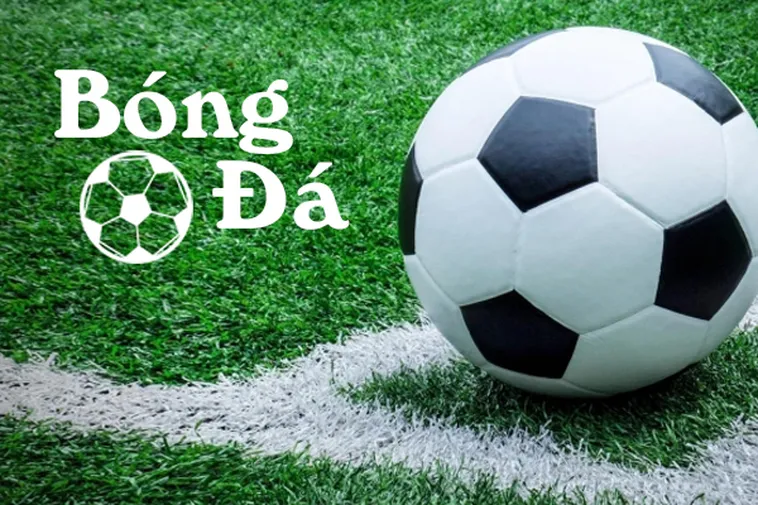 Bóng Trong Cuộc Và Bóng Ngoài Cuộc Hiểu Quy Tắc Biên Ngang