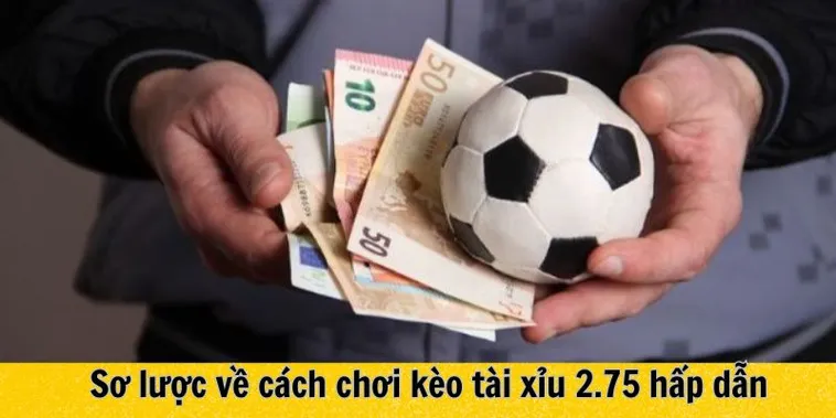 Hướng Dẫn Cách Chơi Kèo 2.75 Trong Bóng Đá Mang Lại Hiệu Quả Tối Ưu