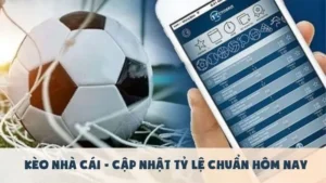 Cách Chơi Kèo Tài Xỉu Hiệp 2 Bắt Nhịp Thay Người Và Thể Lực