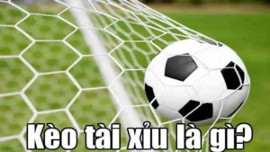 Khám Phá Kèo Tài Xỉu Bóng Đá Và Cách Xem Số Liệu Thắng
