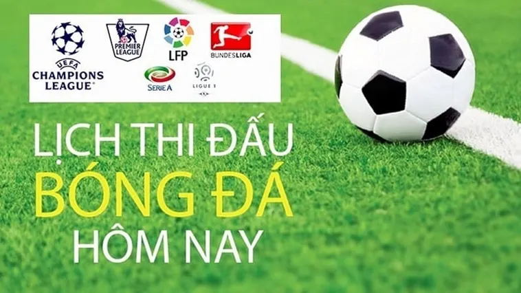 Lịch Thi Đấu Bóng Đá Và Những Thông Tin Người Hâm Mộ Cần Biết